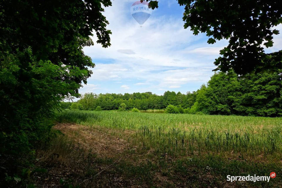 Działka jeziorze Pniew Buszewo