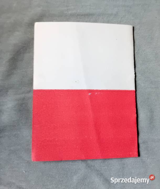 Zaproszenie na sesję popnauk 100 lat Polskiego Koźminek