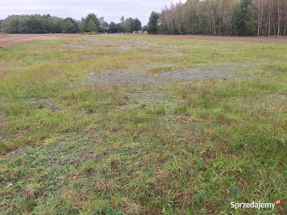 Działka budowlana 5700m2 Szczucin sprzedam