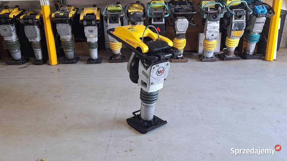 Skoczek Stopa WACKER NEUSON BS 502 11in 2022r Pozostałe Trzebnica