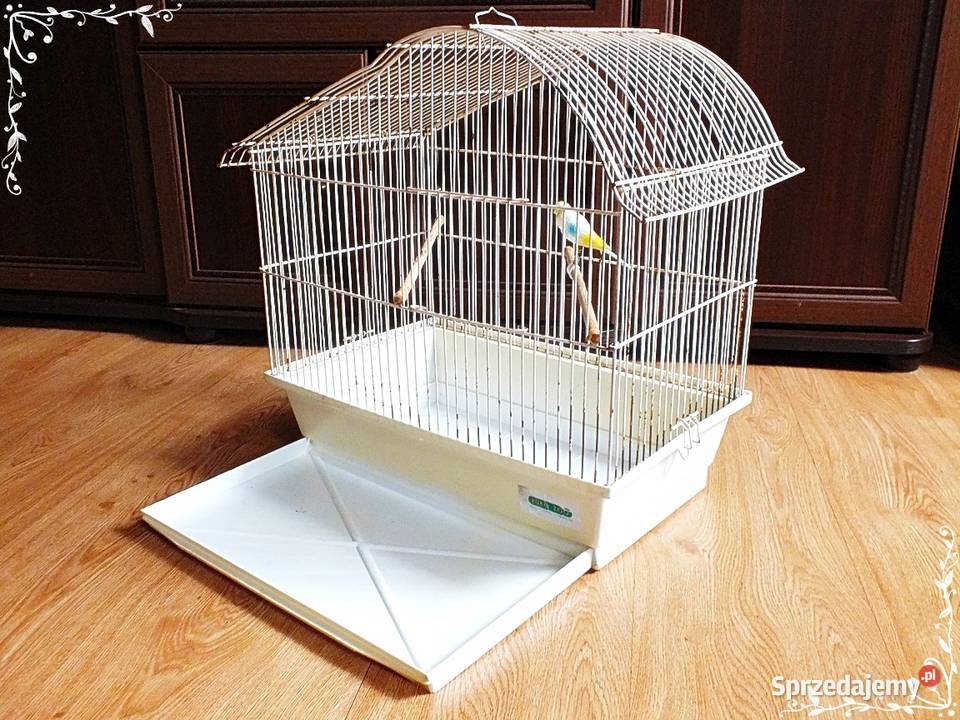 Biała klatka ptaków kanarki zeberki 46x49x30 Lubsko