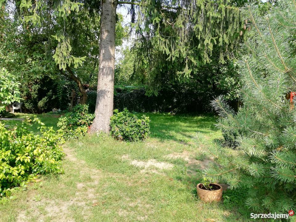 Sprzedam działkę ROD Augustówka 1 Warszawa