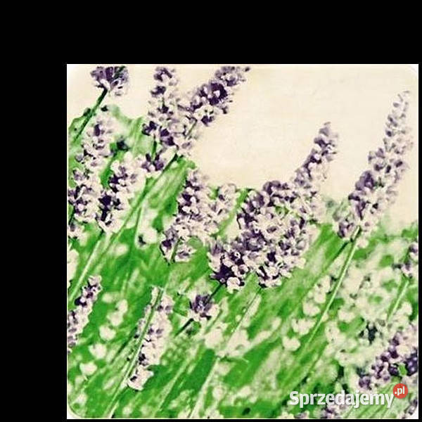 Dekor Samaria Lavande 4 Domino 20 x 20 aktualne Białogard sprzedam