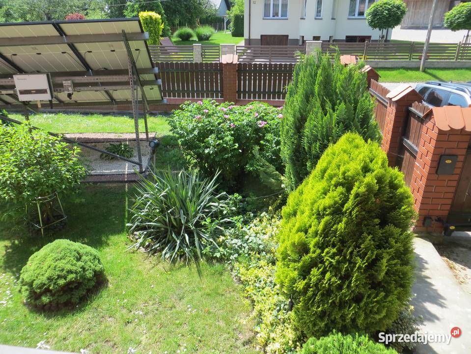 KONKURS OFERT SYNDYKA Sprzedaż małopolskie Widoma