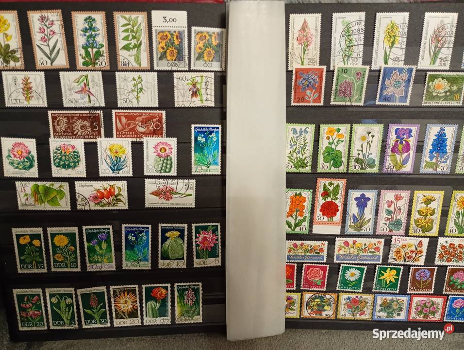 Duży album klaser ze starymi znaczkami Łowicz sprzedam