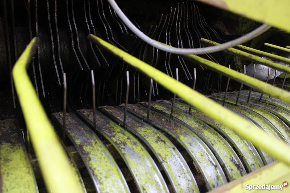 Claas Rollant 46 RotoCut Sokoły