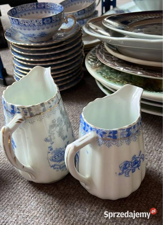 Mlecznik China Blau Niższy pomorskie Gdańsk