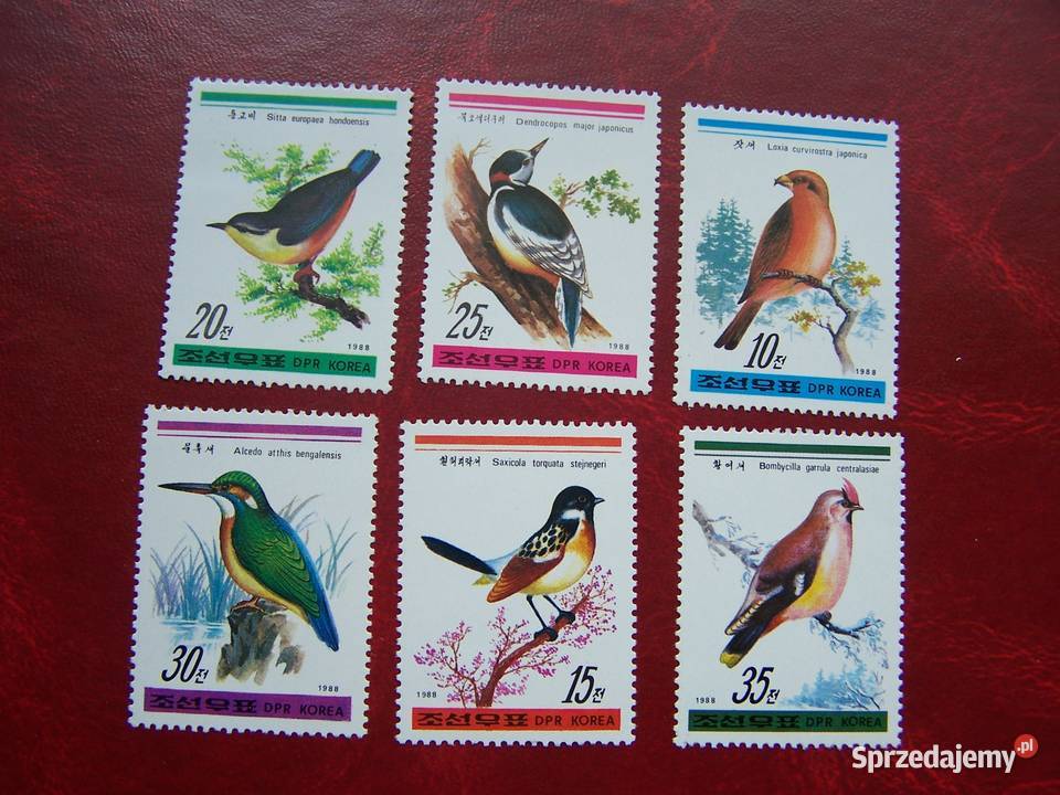 Korea Płn 1988 MNH Mi 293237 Fauna Ptaki śląskie Tychy