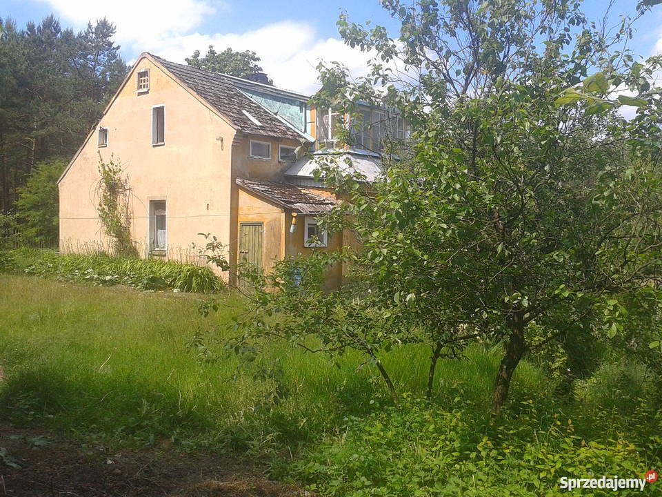 Dom w Borach Tucholskich rzeki Wda Domy