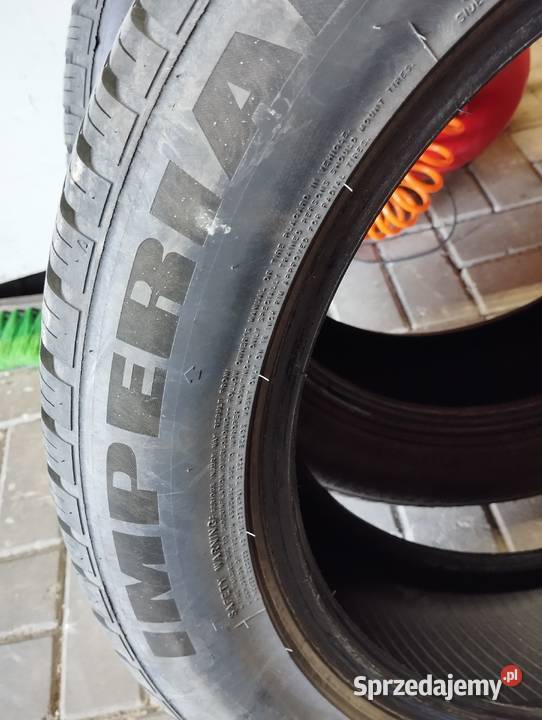 Opony wielosezonowe pomorskie Bielkówko