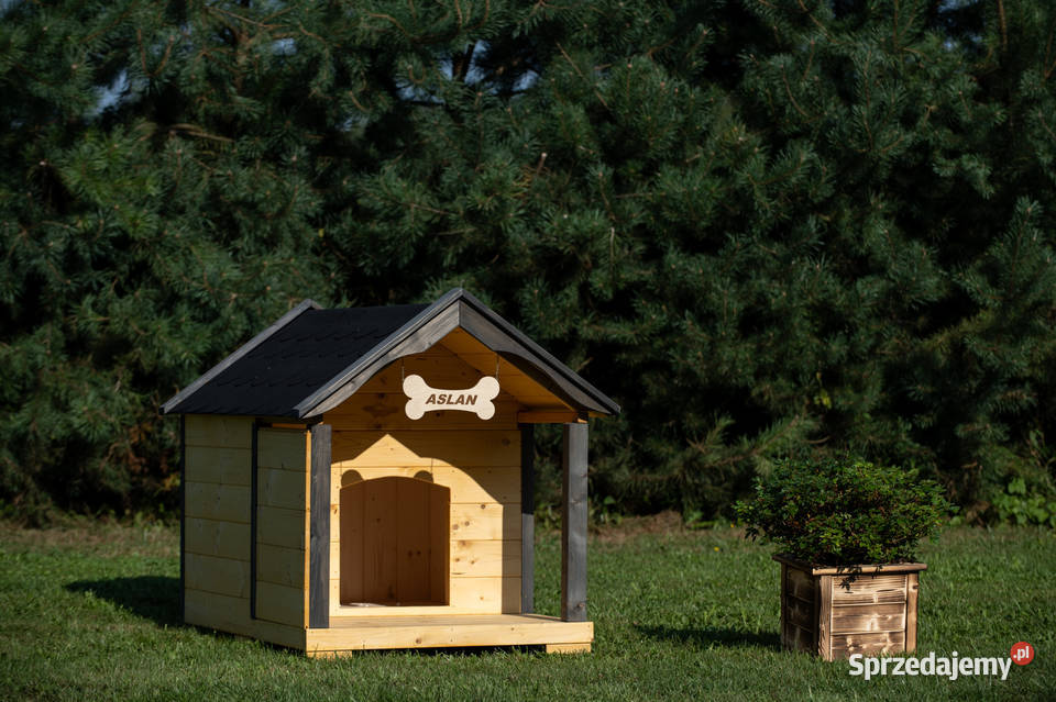 Buda XL z tarasem duży pies WYSYŁKA POLSKA Stopnica sprzedam