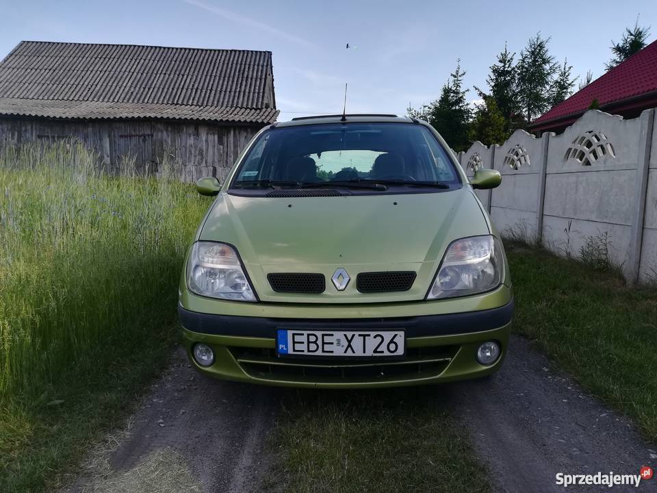Renault Scenik 1.9 DTI 1999r Bełchatów Sprzedajemy.pl