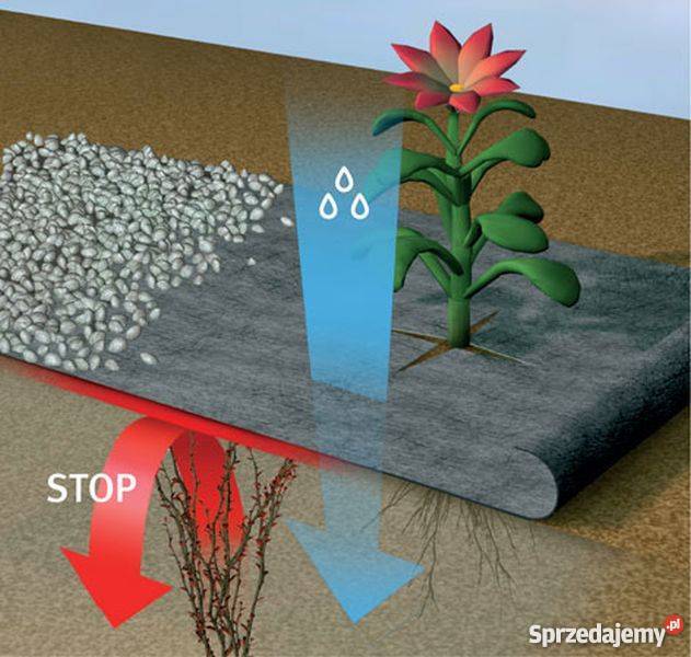 Agrotkanina mata 08x50m czarna gruba 90g filtrUV lubelskie Zamość