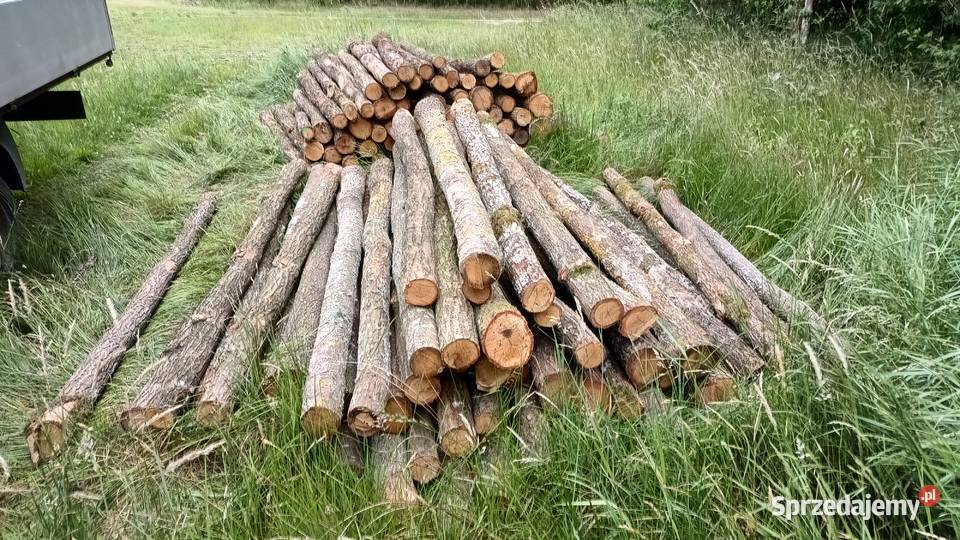 Kołki słupki ogrodzeniowe sosnadąb Pozostałe Grębków
