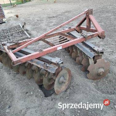 Talerzówka Michowice