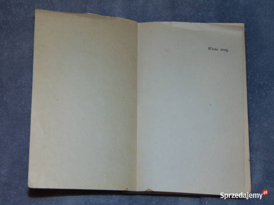 Wiele dróg zbiór opowiadań Czermińska Minkowski miękka Lublin