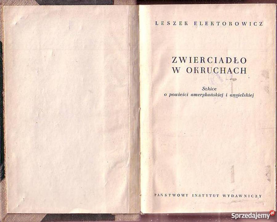 0125 ZWIERCIADŁO W OKRUCHACH SZKICE O POWIEŚCI Czyrna sprzedam