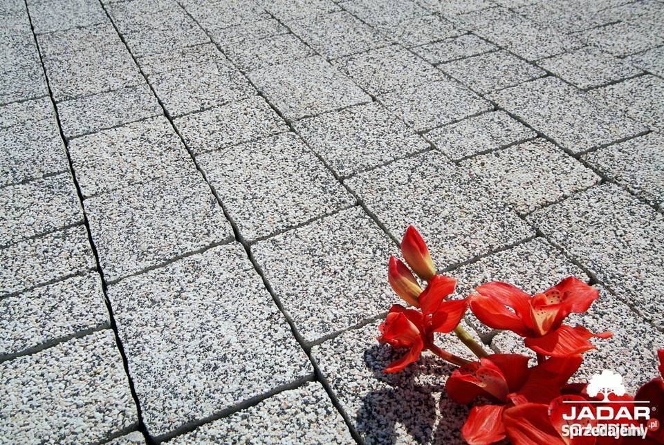 Kostka brukowa Granito Lux Jadar