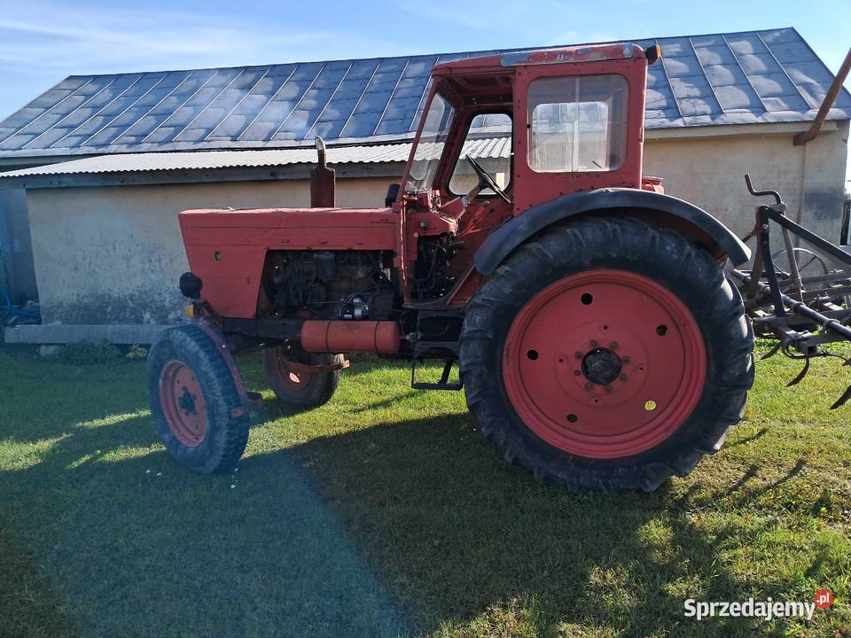 Ciągnik MTZ 82r Pławanice