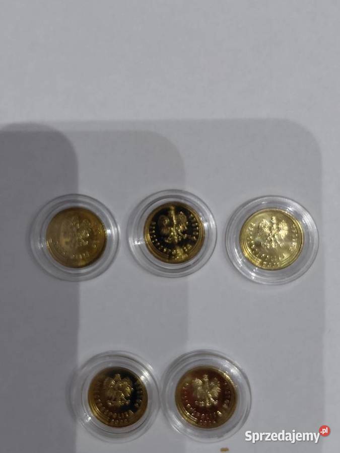 Monety obiegowe 1 grosz NBP Numizmatyka Koronowo