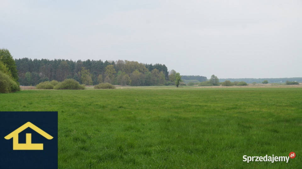 Nieruchomość w Całowaniu polna Całowanie