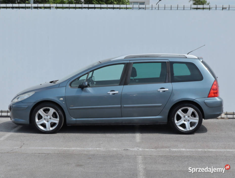 Peugeot 307 20 HDI Rok produkcji 2006 Lublin sprzedam