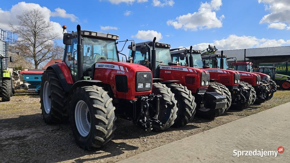 Massey Ferguson 8240 Dyna4 wielkopolskie Gruntowice