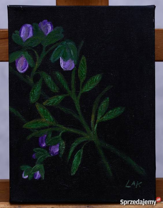 Uroczy martwa natura oliwki obrazek obraz olejny inny kolor pomorskie