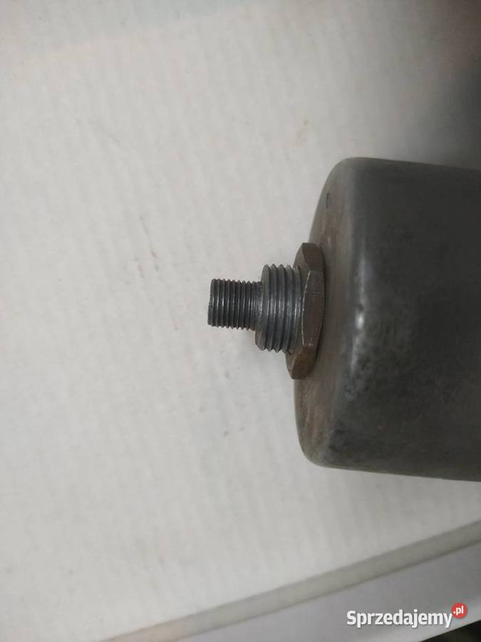 Komar sztywniak licznik Ostrowiec Świętokrzyski