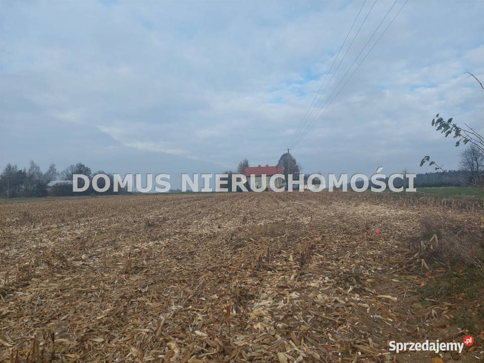 Działka 3000m2 Tworzyjanki Sprzedaż łódzkie