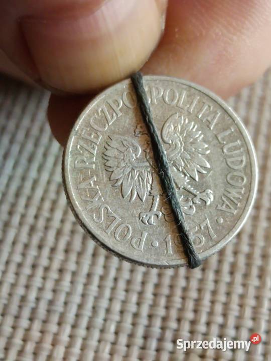 50 gr 1957r lekka skretka sprzedam Numizmatyka