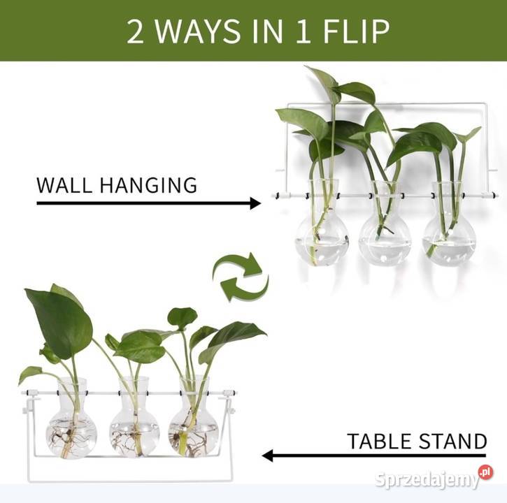 Stacja do rozmnażania roślin wazon stojak dolnośląskie Domaszczyn sprzedam