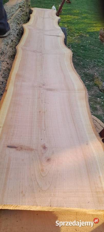 Brusy czereśnia gruszka 57