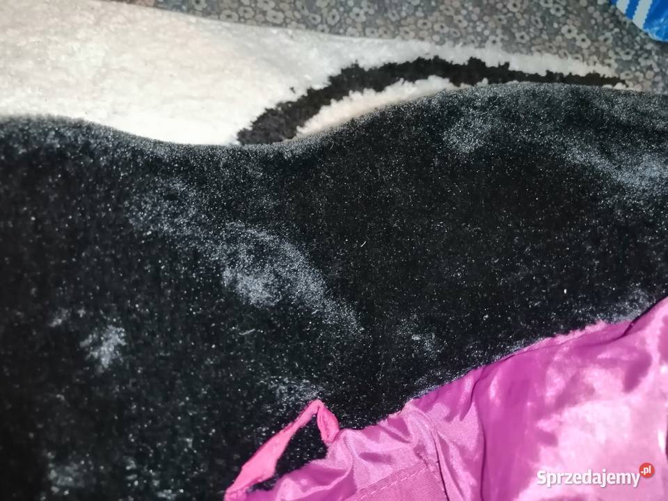 MEDICINE kurtka zimowa ocieplana PIĘKNY KOLOR Leszno sprzedam