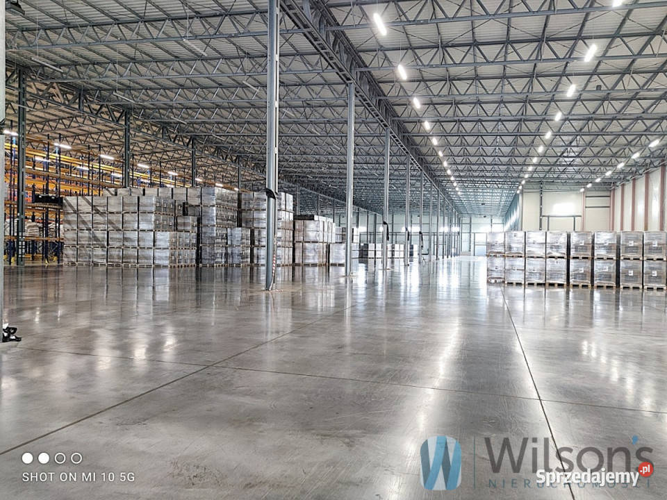 Lokal Pęcice 4410 metrów 4410m2 mazowieckie