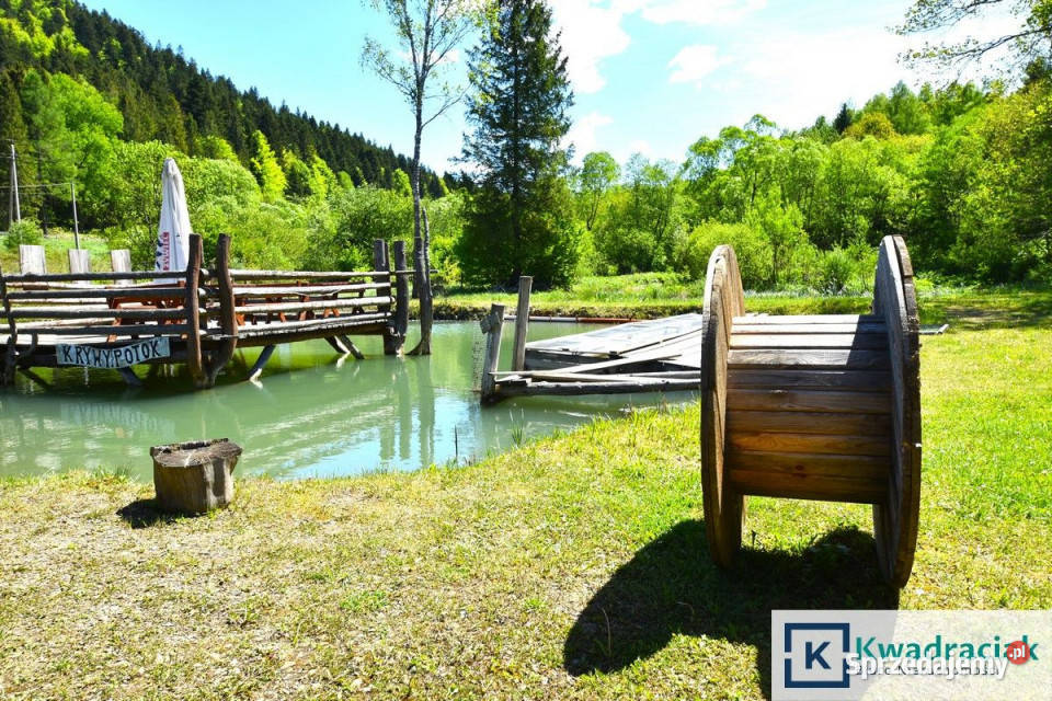 Działka 11659m2 Krzywe