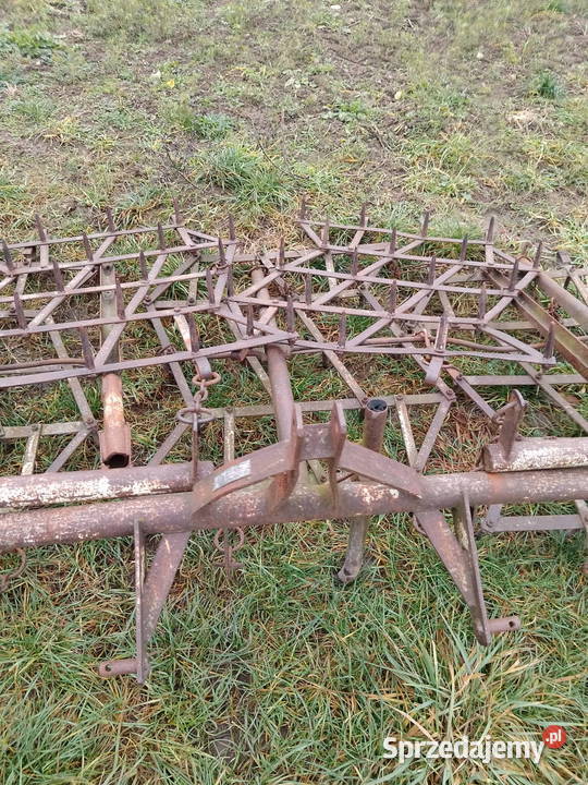 brony pięcio polowe Piątek