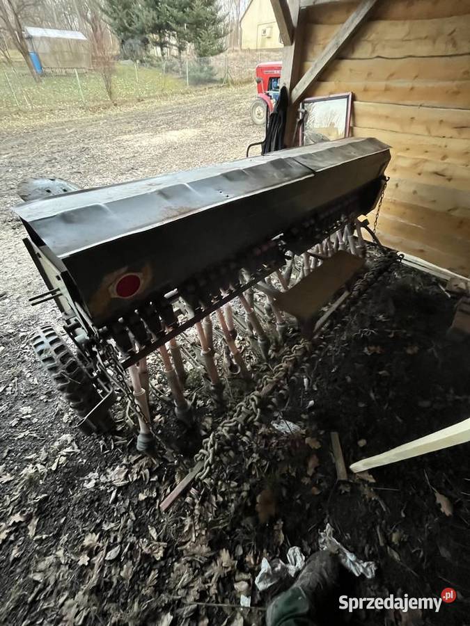 Siewnik poznaniak Kobyle