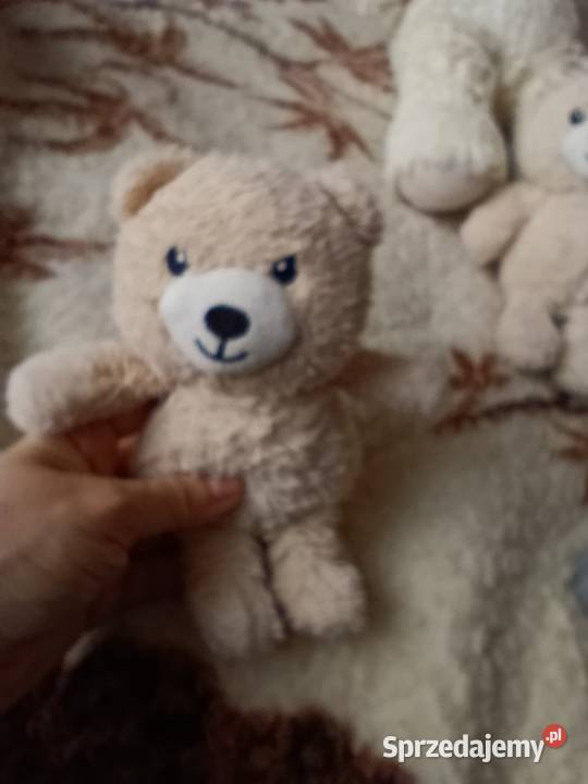 misie zabawki pluszowe maskotki komplet wielkopolskie Poznań