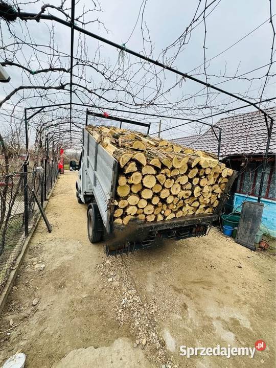 Tanie Drewno opałowe kominkowe Września i