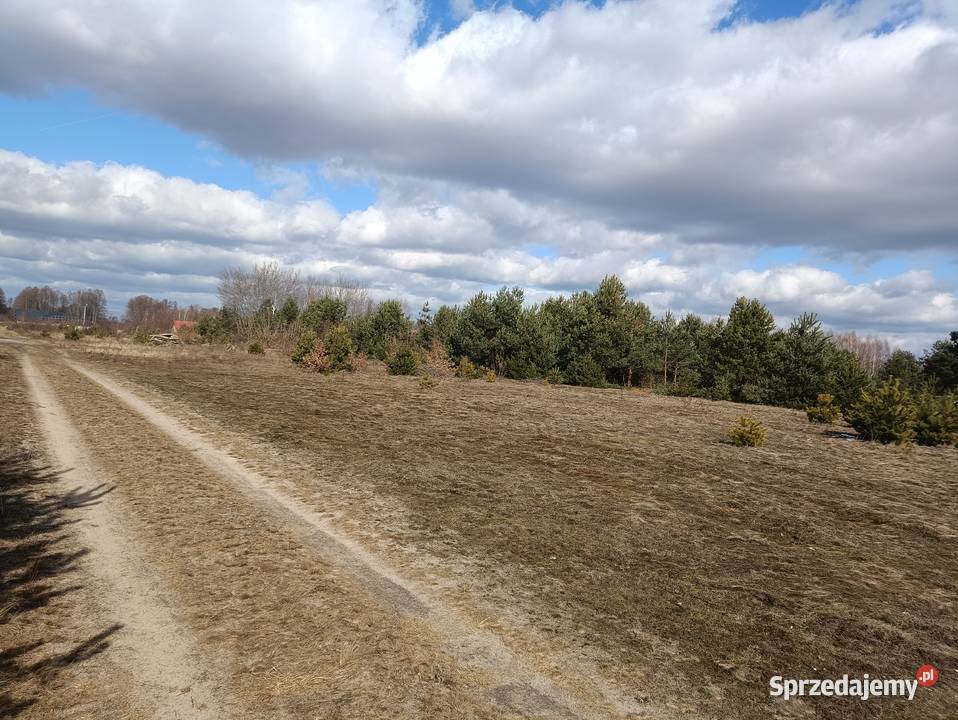 Działka budowlana Chinów