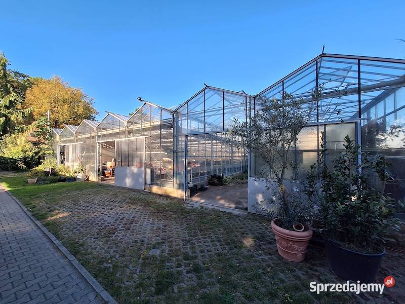 Szklarnia Venlo Krajnik Dolny