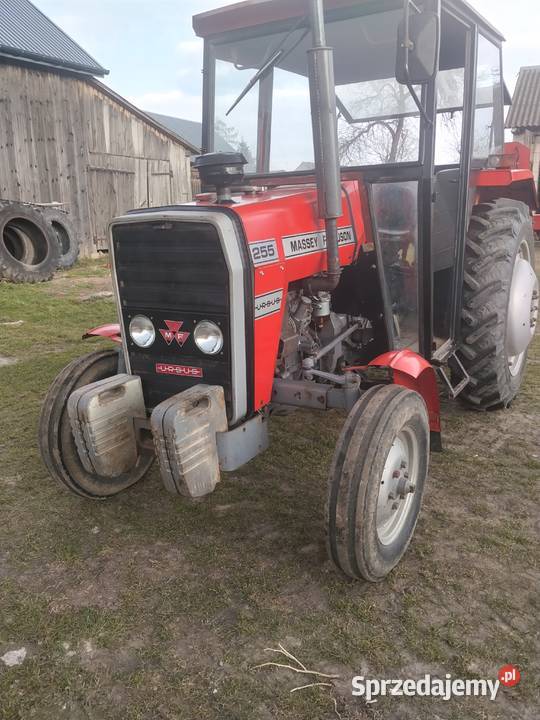 Ferguson 255