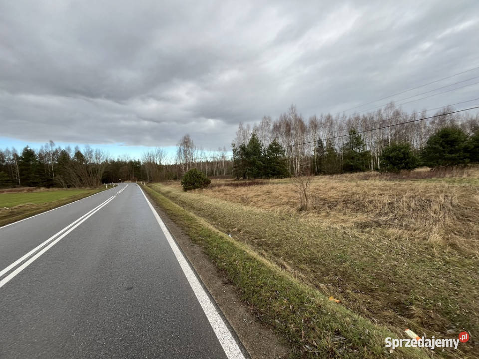 Duża działka inwestycyjna Wisły w Kłudziu asfalt Kłudzie