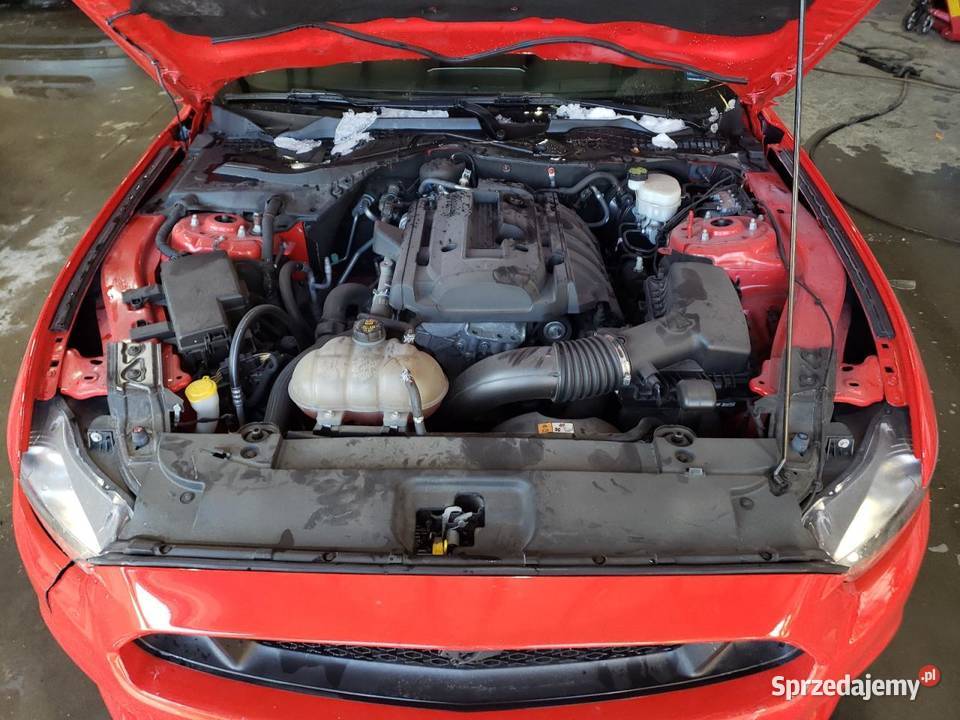 2017 FORD MUSTANG 2300cm3 Bełchatów