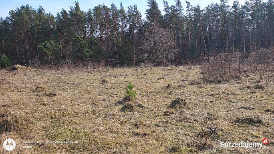 Działka budowlana wz na 2 domy Domatówko sprzedam