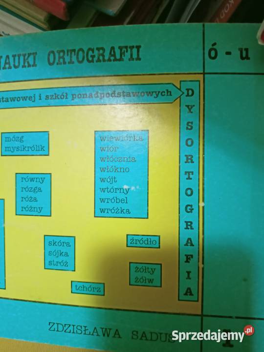 Zeszyt ćwiczeń ortografia Saduś najtańsze Warszawa