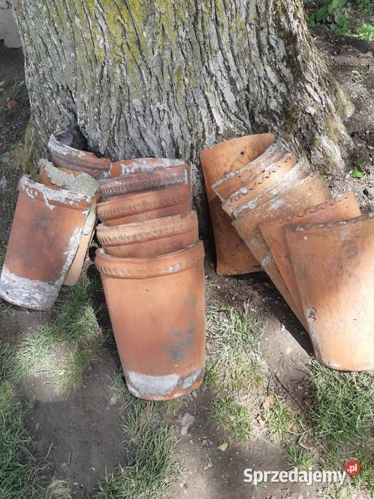 Gasiory Elbląg