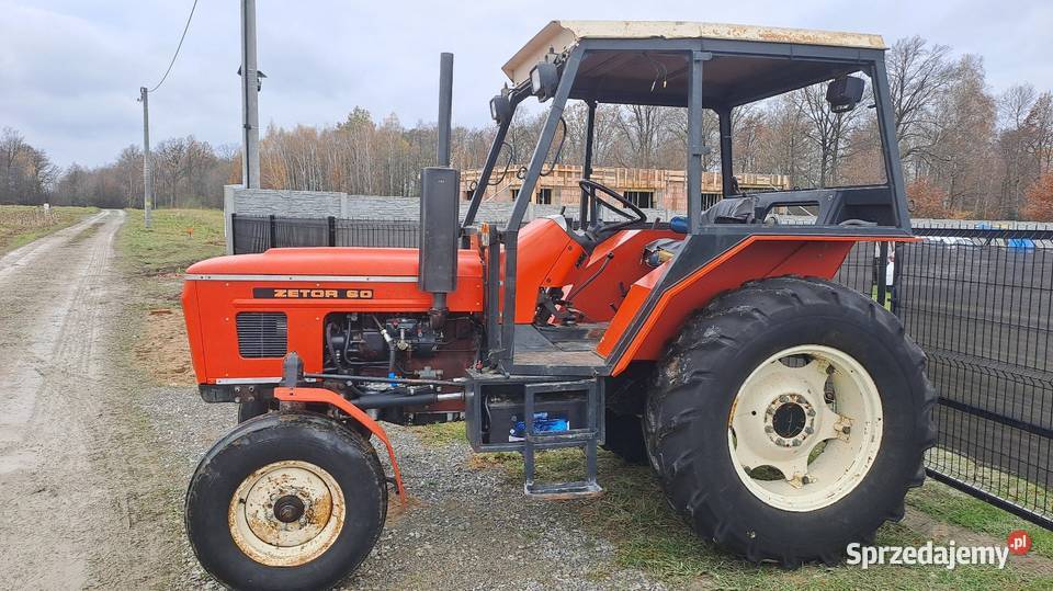 Zetor 6011 82r 3800mtg Oryginał Ursus C360 Mf Nieczajna Górna sprzedam