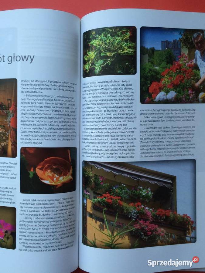 2221 Szczecin W Kwiatach Antykwariat zachodniopomorskie